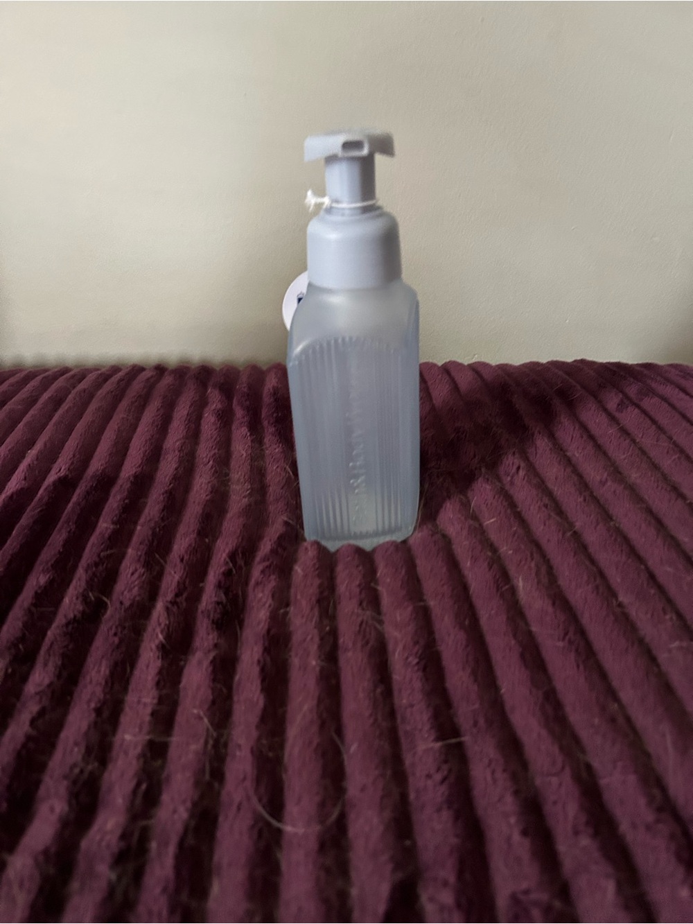 Bath & Body Works Frosted Blue Foam Pump Bottle